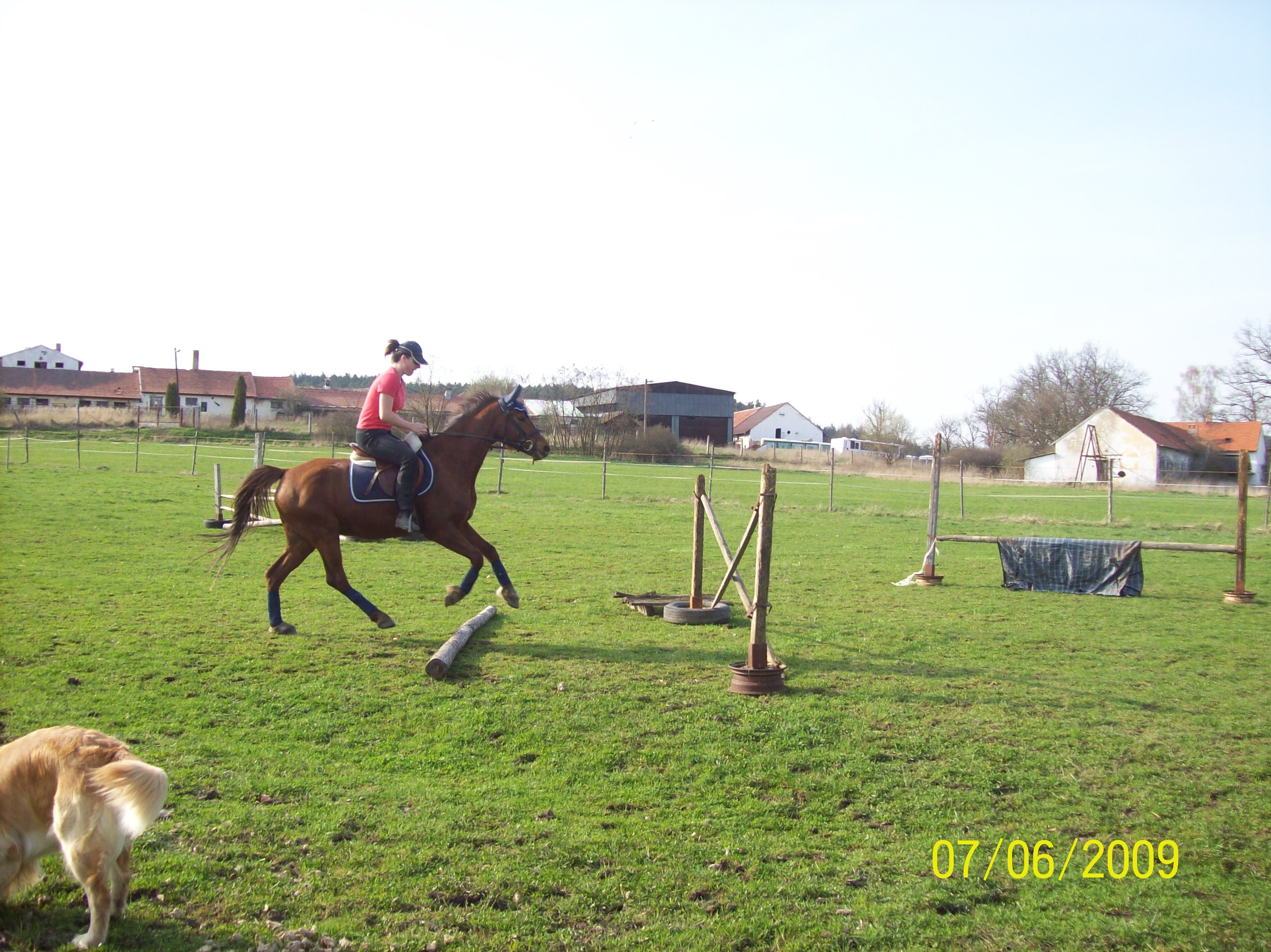 100_2010.JPG