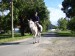 100_0804.JPG